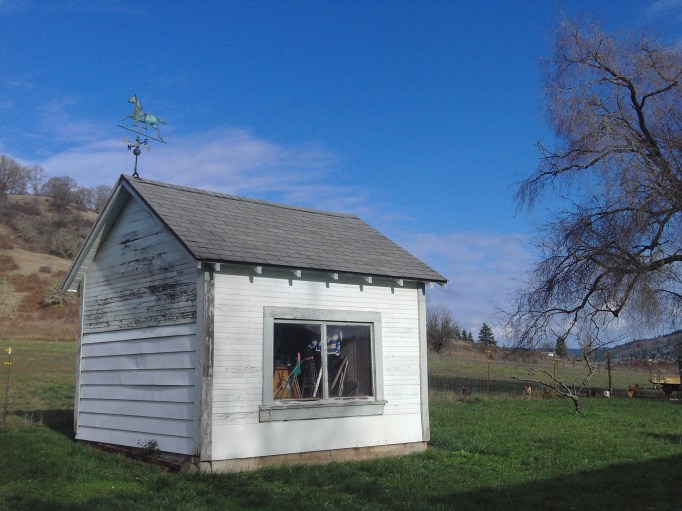 maxell Digital Camera