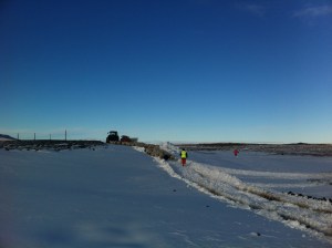 herding sheep through the snow