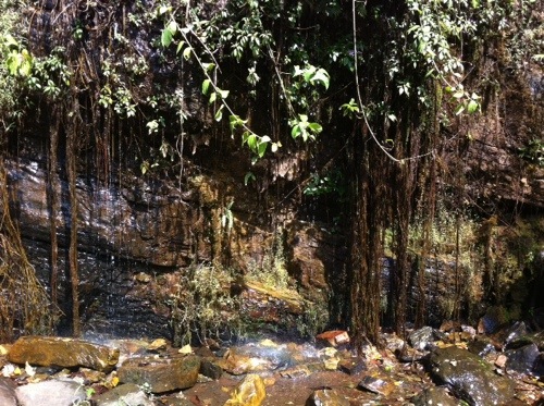 the Kpalimé falls, just trickling drops