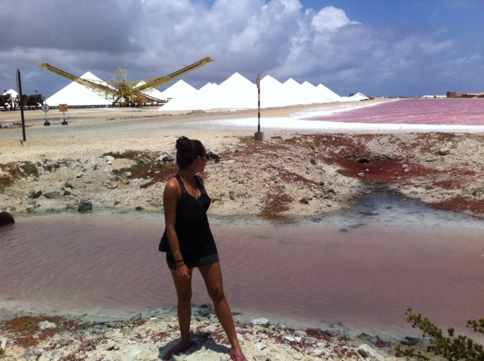 salt fields and pink seas