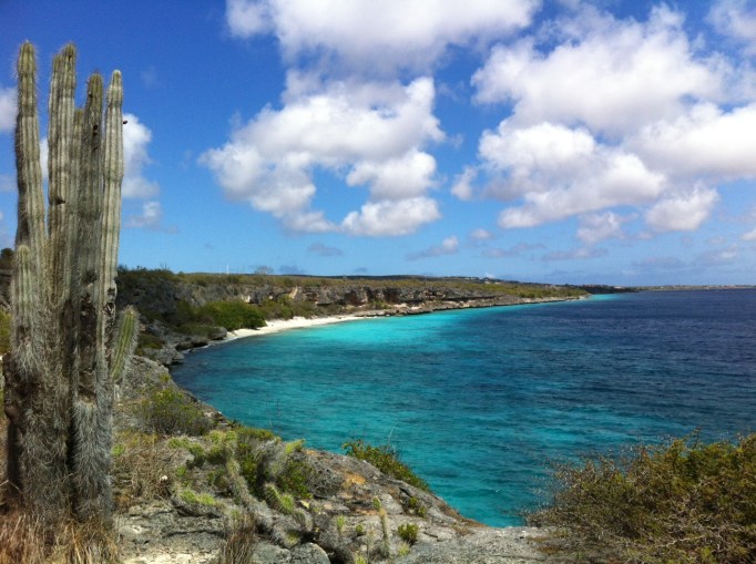 beautiful Bonaire