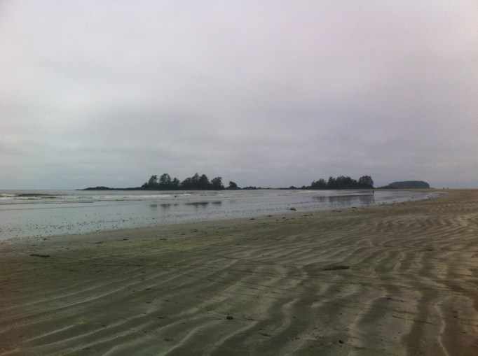 foggy Tofino