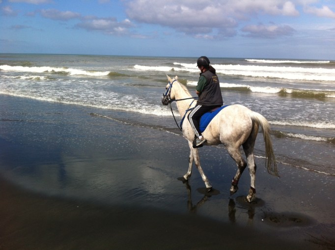 Raewyn on her competition horse Tahi