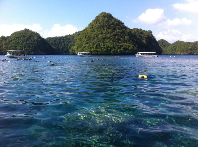 My favourite snorkel spot in the Rock Islands