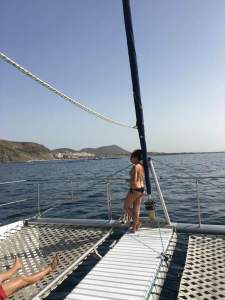 whale and dolphin scouting on our catamaran booze cruise