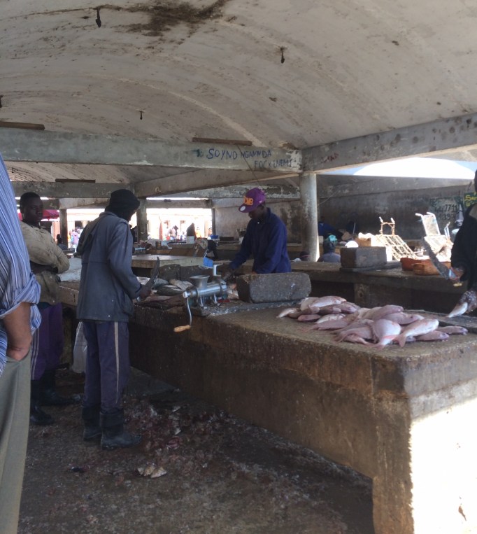 fish sorting and prepping