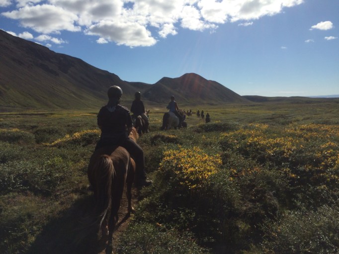 Heading into Mývatnssveit