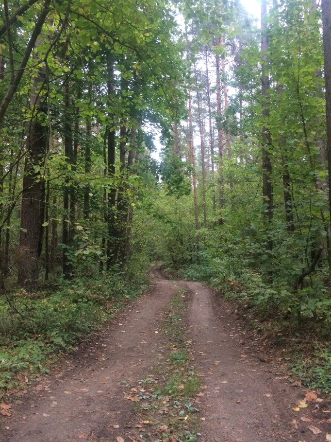 off the beaten track