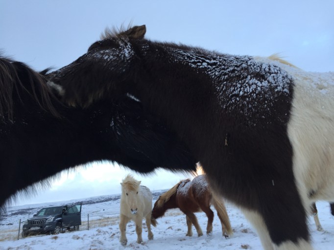 I'll miss this sight!