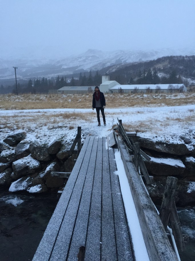 New Years resolution #1: go for more walks 